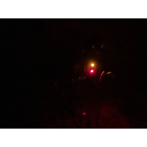 Mega Bloks D&D Knight dragon? works chest Green Orange horns chest lights. - Picture 8 of 12